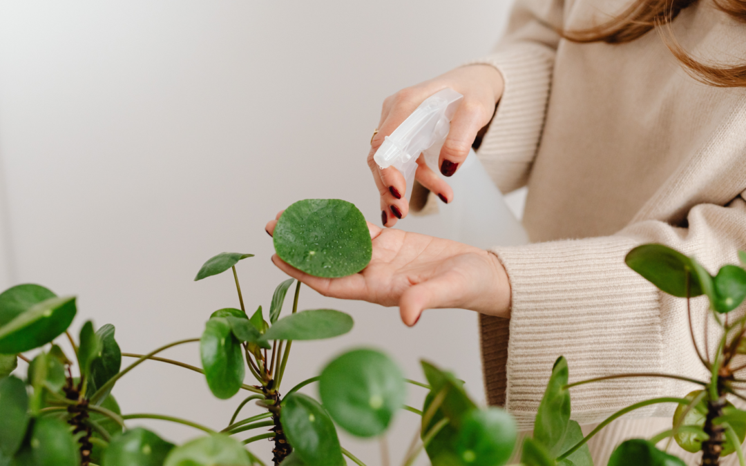 Wellbeing that lasts